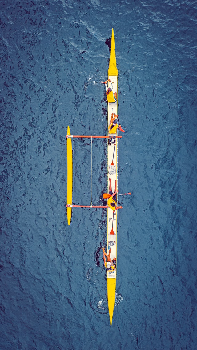 Rowers in water